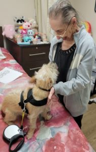 Diane Woodruff (2)-therapy dog